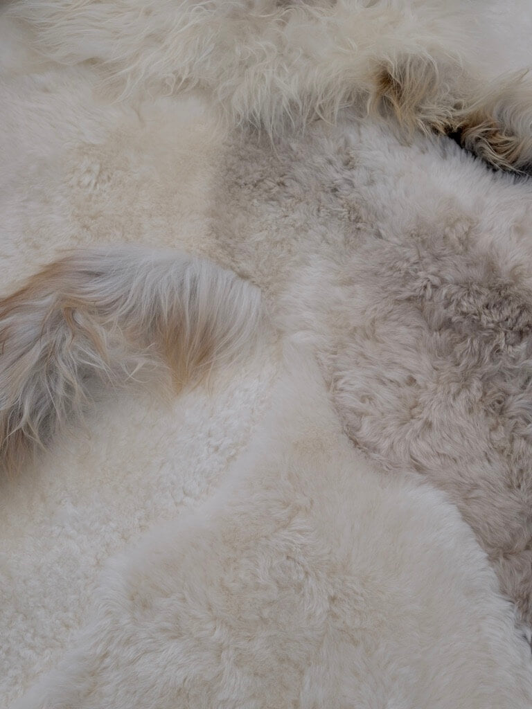 Sheepskin Rug in Cappucino