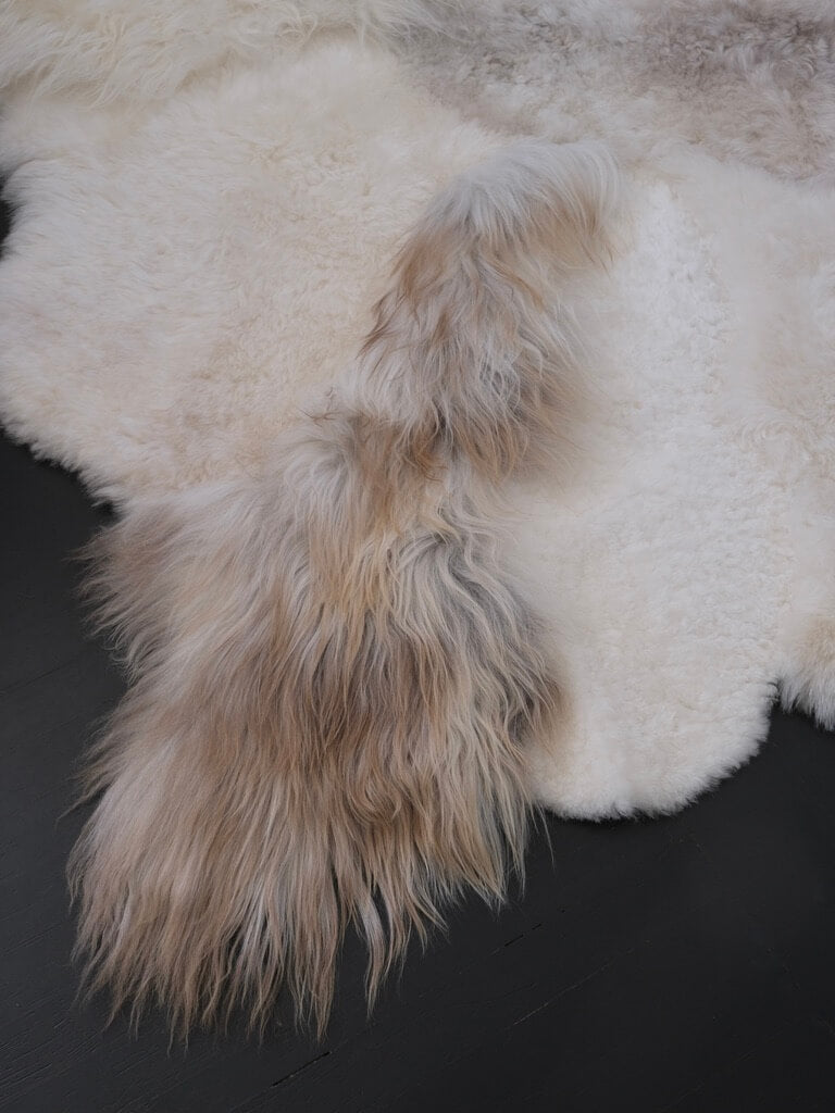 Sheepskin Rug in Cappucino