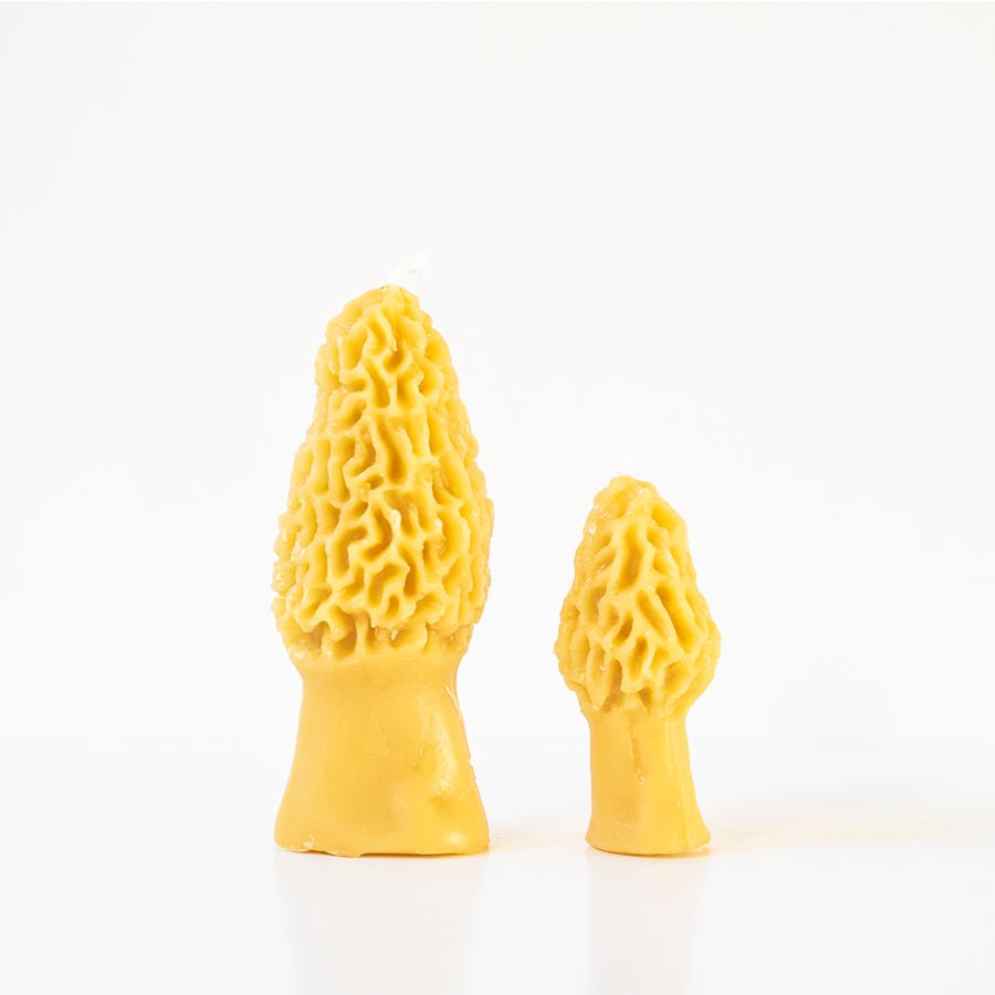 Morel Mushroom Beeswax Candle in Natural